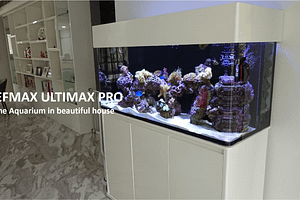 REEFMAX Ultimax-Pro Aquarium